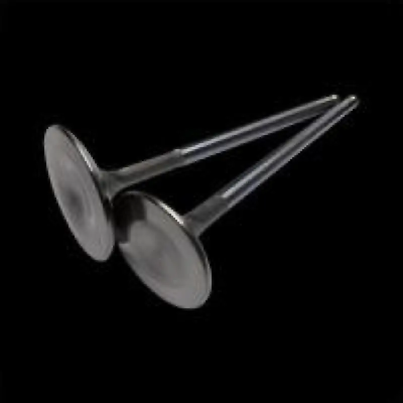 Brian Crower Vw/Audi 1.8T 29.9Mm Exhaust Valves 1