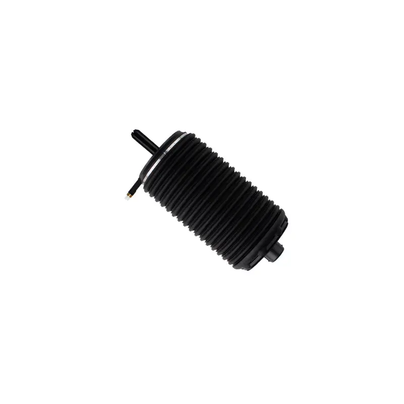 Bilstein B3 Oe Replacement 15-16 Porsche Macan Rear Left Air Suspension Spring 1