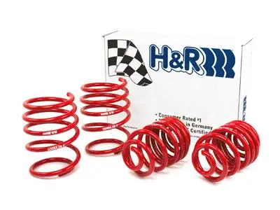 H&R 01-06 Bmw 325Ci Cabrio/330Ci Cabrio E46 Race Spring (W/Sport Suspension) 1