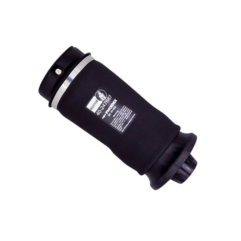 Bilstein B3 Oe Replacement 13-15 Mercedes-Benz Gl63 Amg Rear Air Suspension Spring 1
