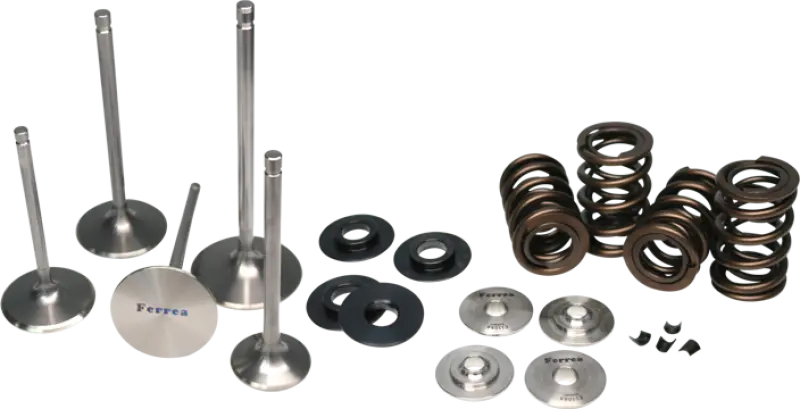 Ferrea 17-18 Audi 2.5 Tfsi Single Spring Kit 1