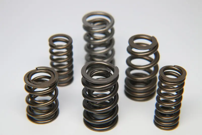 Ferrea Porsche 996Tt 3.6L Dual Valve Spring - Set Of 24 1