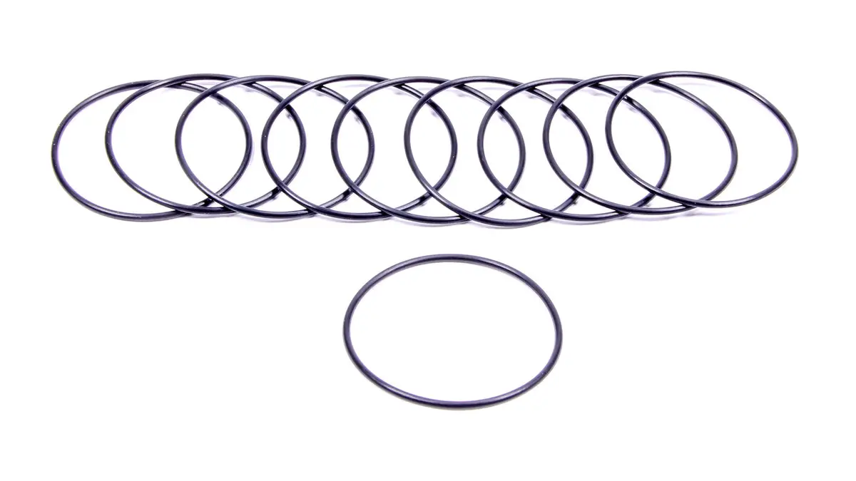 Filter O-Rings (10) 1