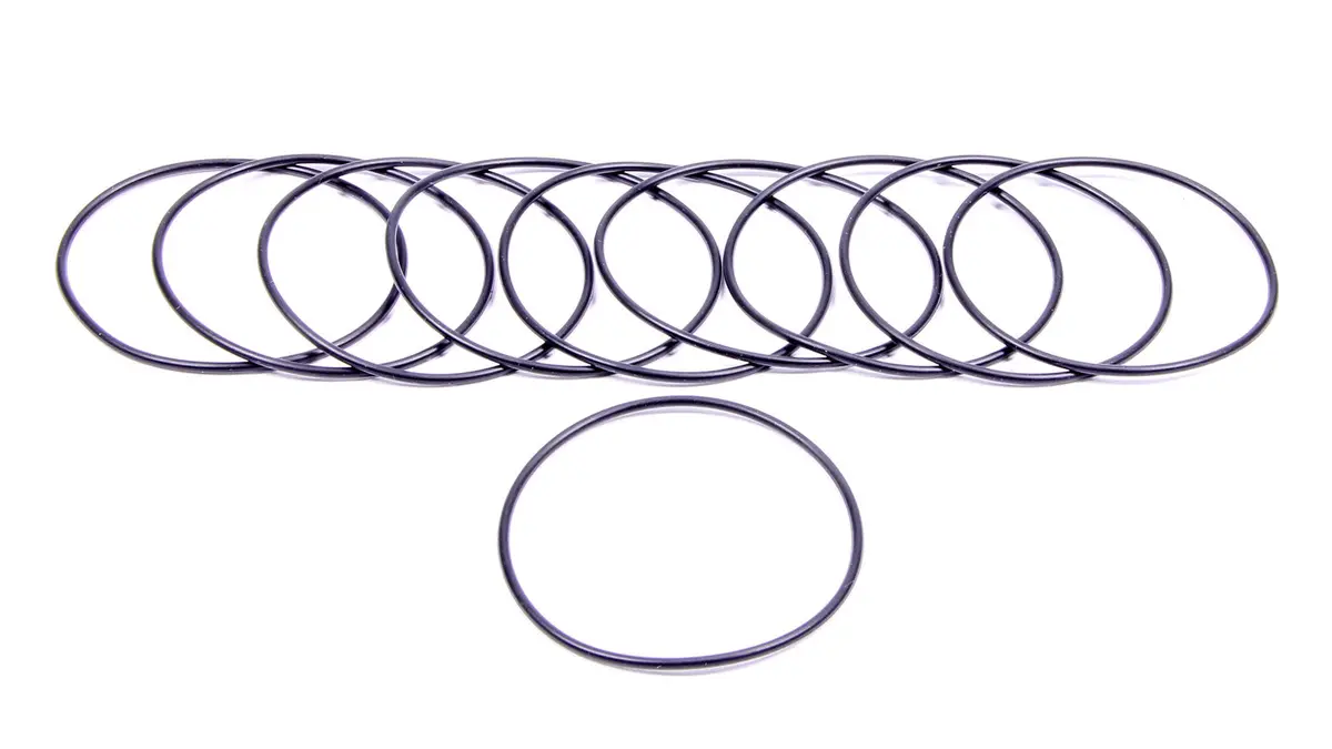 Filter O-Rings (10) 1