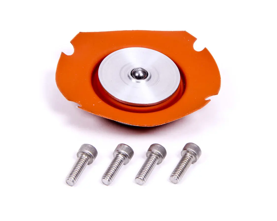 Regulator Service Kit 1