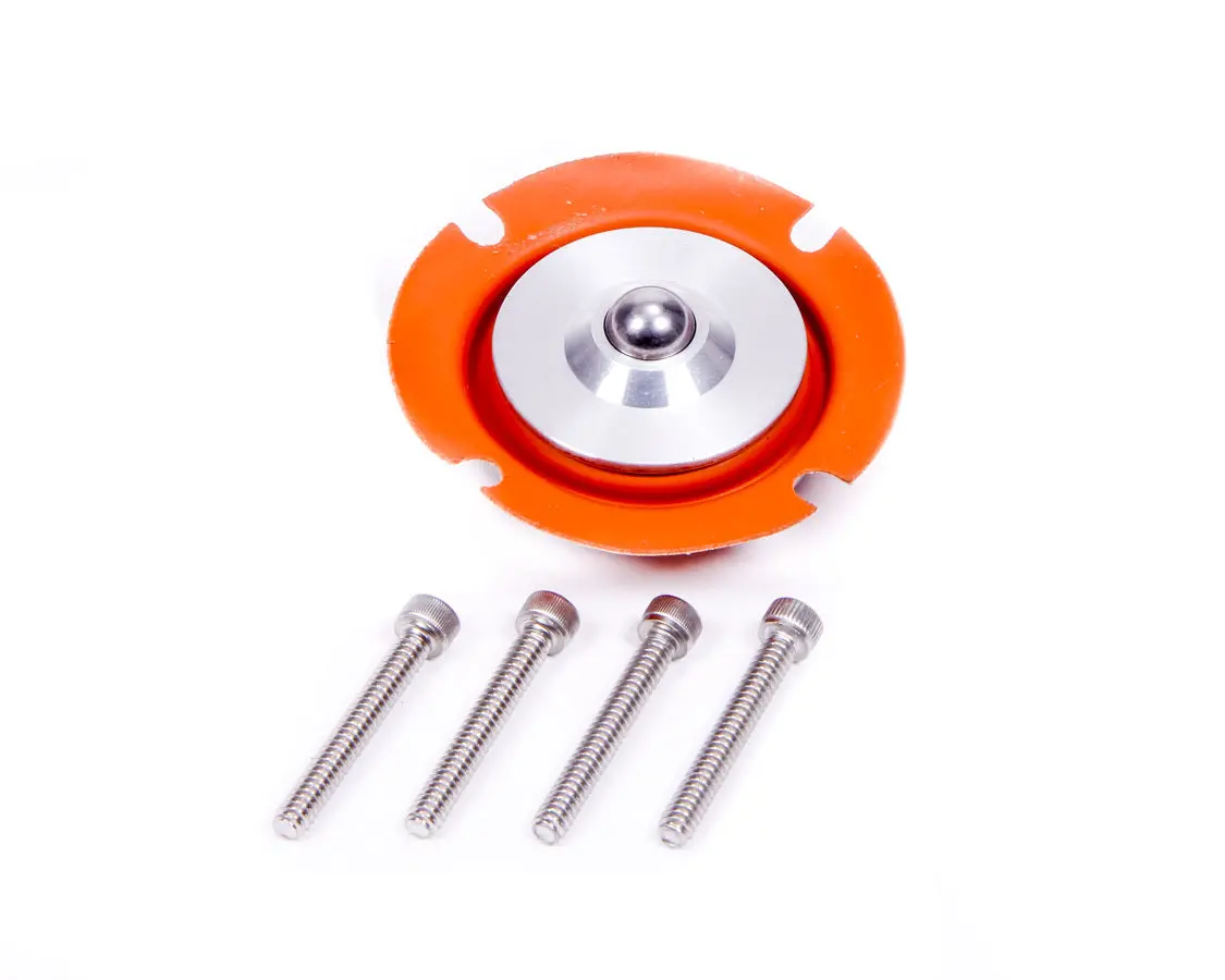 Regulator Service Kit 1