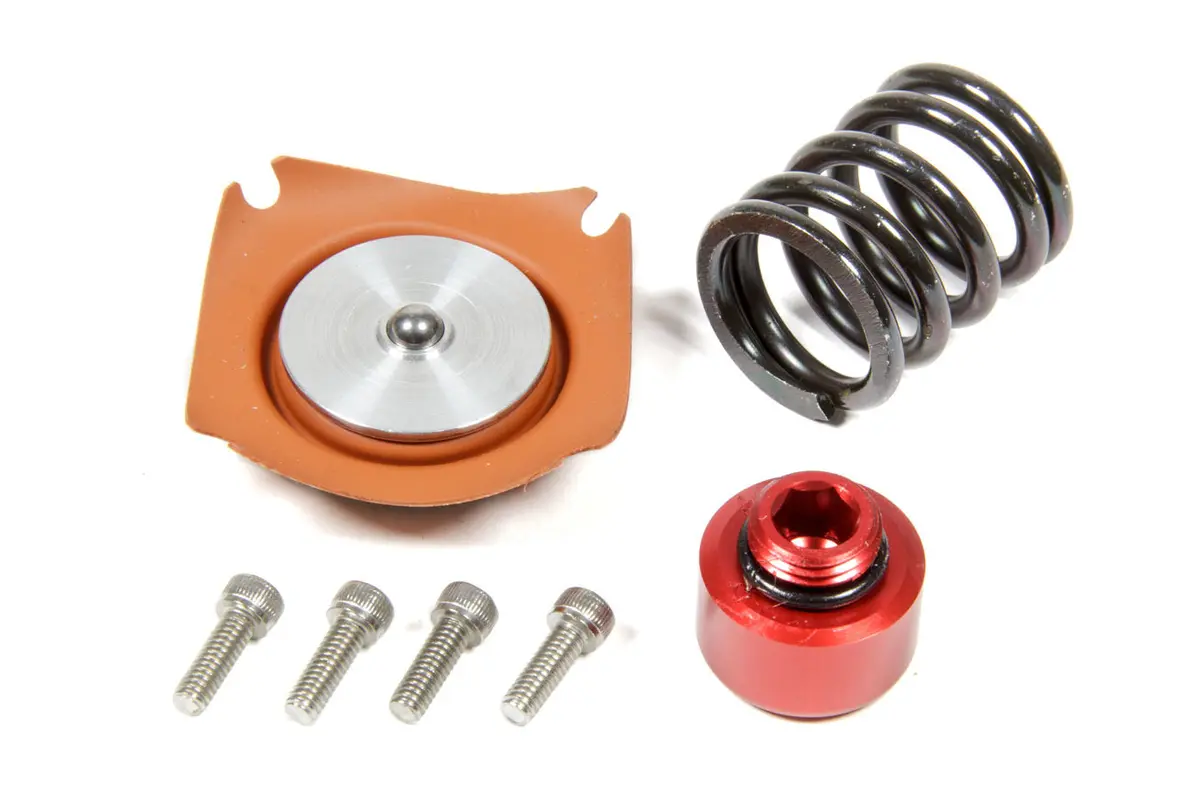 Regulator Rebuild Kit - 13303 35-75Psi .188 Seat 1
