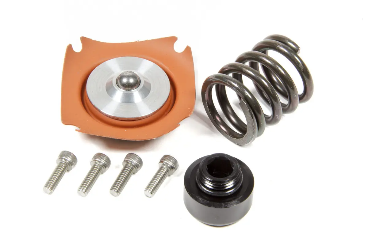 Regulator Rebuild Kit - 13305 35-75Psi .313 Seat 1
