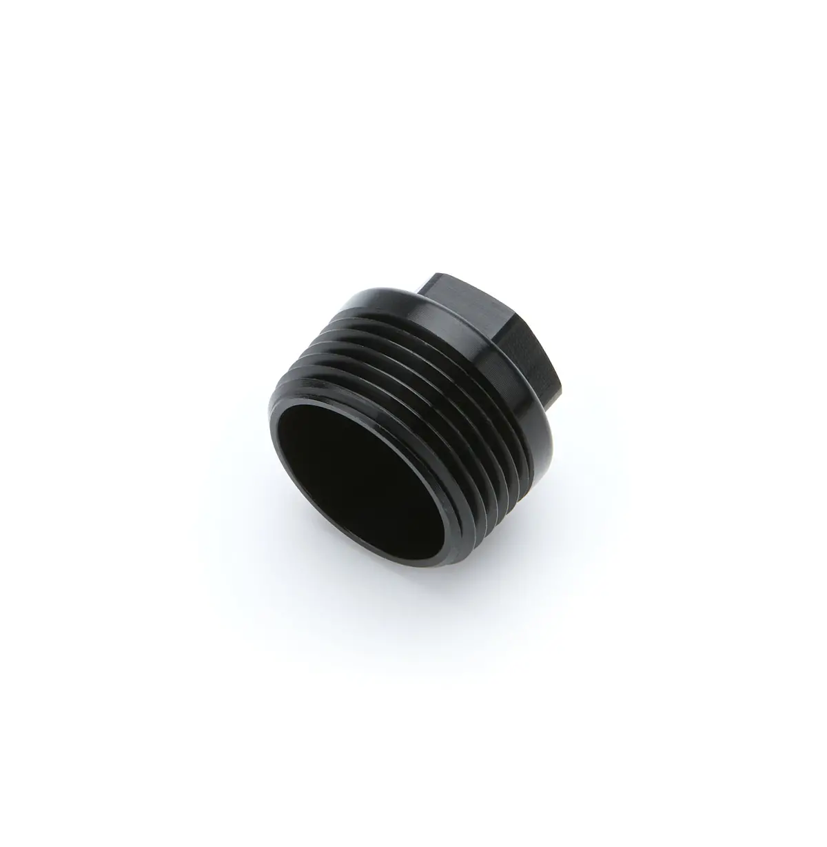 1In Npt Plug Fitting 1